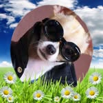 Patty Ruff - @chicoes_bello - Instagram