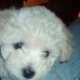 Patty Rule - Facebook
