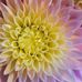 Patty Ruppert - Facebook