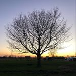 Patty Trapani-Ruppert - @trapaniruppert - Instagram