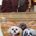 Patti Rutherford - Facebook