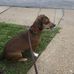 Patty Rutherford - Facebook