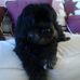 Patty Briggs Sabo - Facebook