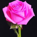 Patty Salas - Facebook