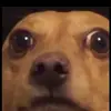 los macacos122357_xd - @pattysalgado0 - TikTok