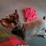 Patty Sanders - @pattysanders5954 - Instagram