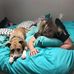 Patty Zych Sanders - Facebook