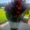 Patty Scarbrough - @patty.scarbrough - TikTok