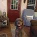 Patty Schreck - Facebook