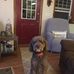 Patty Schreck - Facebook