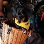 Patti Schubert Kennedy - @pkkennedy64 - Instagram