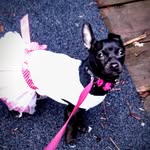 Patty Schulz - @pattypeacepower1 - Instagram