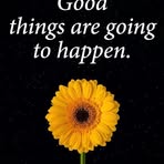 Patty Schweitzer - Facebook