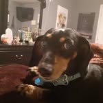 Patty Sears - @elderpatty12 - Instagram