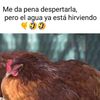Patty Serna - @gua829 - TikTok