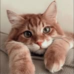 Paty Servantes - Facebook