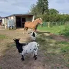 patyservais - @patyservais - TikTok