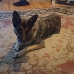 Patty Shaver Bivins - @bivinspatty - Instagram