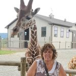 Patty Shaw - @panshaw50 - Instagram