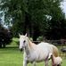 Patty Shaw - Facebook