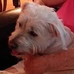 Patricia Shingledecker - Facebook