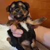 Patty Shippy - @patty.shippy - TikTok