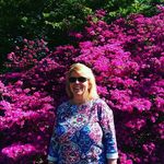 Patty Wyatt Shutters - @pattyshutters - Instagram