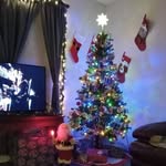 Patty Sikes John Rosier - @pattyrosier - Instagram