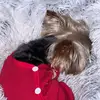 Patti Silverman - @milasgranny1216 - TikTok