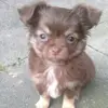 Patty Sim - @patty.sim2 - TikTok