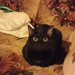 Patty Smith Simmons - @patty.simmons1961gmail.com_ - Instagram
