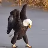 Patty Simpson - @patty.simpson6 - TikTok