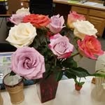 Patty Simpson - @simpson_patty - Instagram