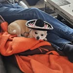 Patty Simpson - @jsimp643 - Instagram