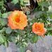 Patty Sims - Facebook