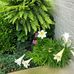Patty Sims - Facebook