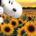 Patty Sims - Facebook