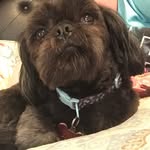 Patty Sims - @pattysims2117 - Instagram
