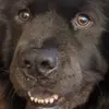 pattysims193 - @pattysims193 - TikTok