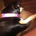 Patty Singer - Facebook