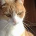 Patty Sisk - Facebook