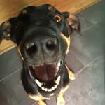 Patti Slone - @pslone - Instagram