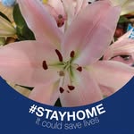 Patty Smiley - @patty.smiley.77 - Instagram