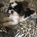 Patricia Snell - Facebook