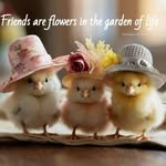 Patty Jenkins Snell - @diane.jenkins.9085 - Instagram