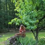 Patty Presnell - @pattypresnell - Instagram