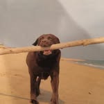 @patty.snider14 - Instagram