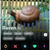 pattysnipes - @atp.02 - TikTok