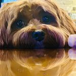 Patty Soper Cooper - @patty_cooper - Instagram