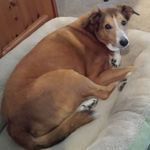 Patty Sprague - @patty.sprague.94 - Instagram